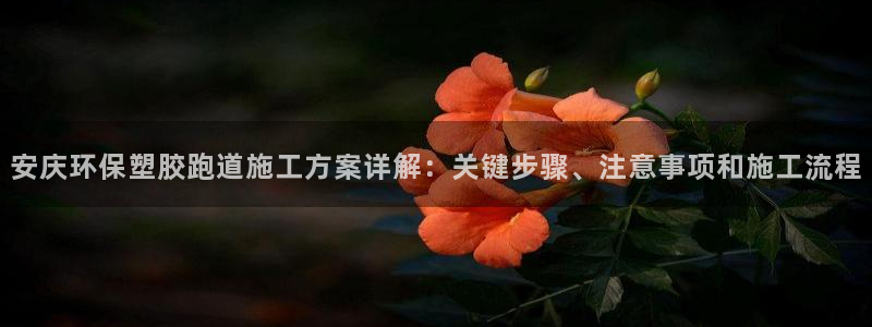 红足一1世77814：安庆环保塑胶跑道施工方案详解：关键步骤、注意事项和施工流程