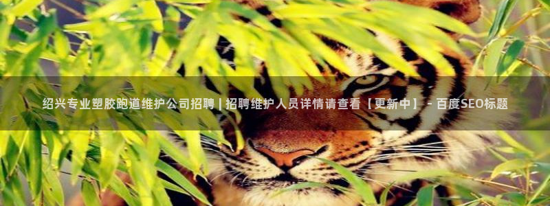 百度红足一1世：绍兴专业塑胶跑道维护公司招聘 | 招聘维护人员详情请查看【更新中】 - 百度SEO标题