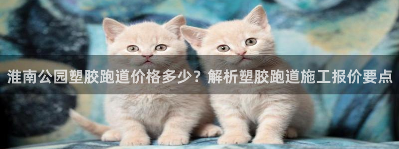 百度红足一1世：淮南公园塑胶跑道价格多少？解析塑胶跑道施工报价要点