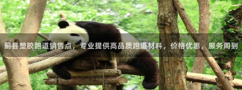 百度红足一1视频在线观看：蓟县塑胶跑道销售点，专业提供高品质跑道材料，价格优惠，服务周到