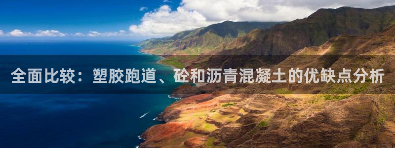 新2足球平台出租网站：全面比较：塑胶跑道、砼和沥青混凝土的优缺点分析