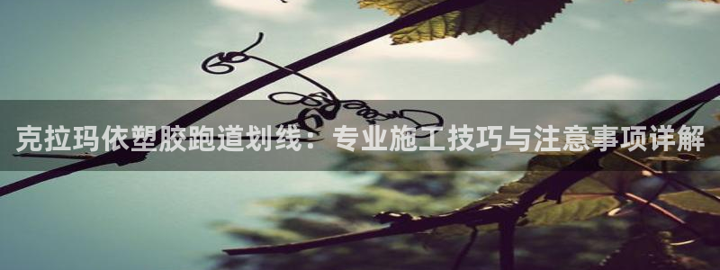 红足1世足球比分网址：克拉玛依塑胶跑道划线：专业施工技巧与注意事项详解