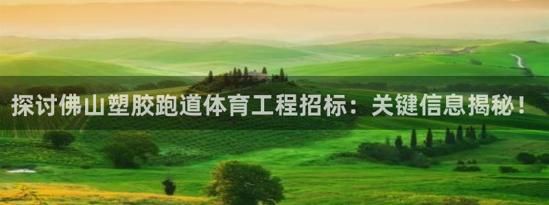 红足 世足球手机网