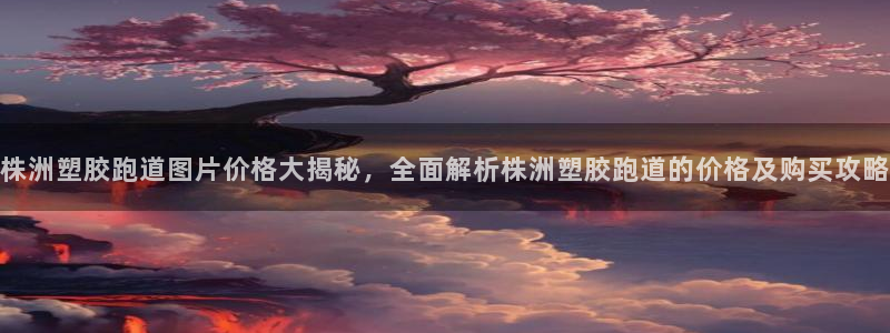 红足一1世皇冠登录：株洲塑胶跑道图片价格大揭秘，全面解析株洲塑胶跑道的价格及购买攻略
