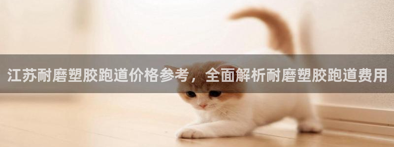 红足一1世即时比分：江苏耐磨塑胶跑道价格参考，全面解析耐磨塑胶跑道费用