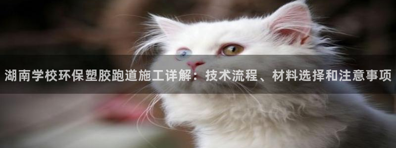 新2足球平台出租网站：湖南学校环保塑胶跑道施工详解：技术流程、材料选择和注意事项