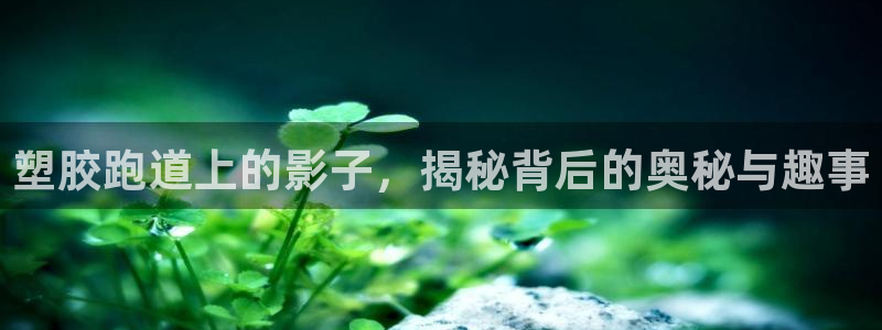 红足1世足球比分预测：塑胶跑道上的影子，揭秘背后的奥秘与趣事