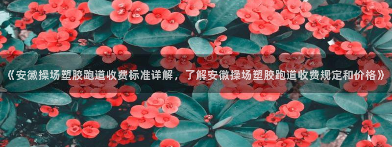 红足1一世 2站：《安徽操场塑胶跑道收费标准详解，了解安徽操场塑胶跑道收费规定和价格》