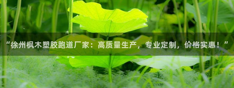 红足1一世开奖版：“徐州枫木塑胶跑道厂家：高质量生产，专业定制，价格实惠！”