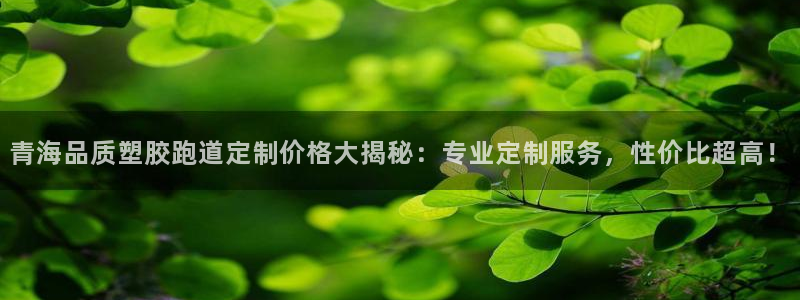 红足一1世666814最新结果：青海品质塑胶跑道定制价格大揭秘：专业定制服务，性价比超高！