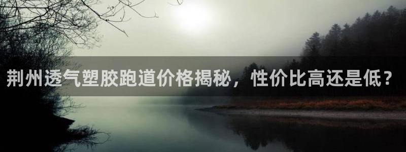 红姐现场直播开奖记录：荆州透气塑胶跑道价格揭秘，性价比高还是低？