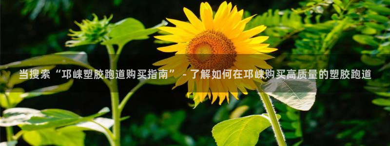 红足一：当搜索“邛崃塑胶跑道购买指南” - 了解如何在邛崃购买高质量的塑胶跑道