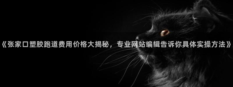 红足一1世666814足球：《张家口塑胶跑道费用价格大揭秘，专业网站编辑告诉你具体实操方法》