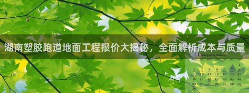 红足一1世皇冠：湖南塑胶跑道地面工程报价大揭秘，全面解析成本与质量