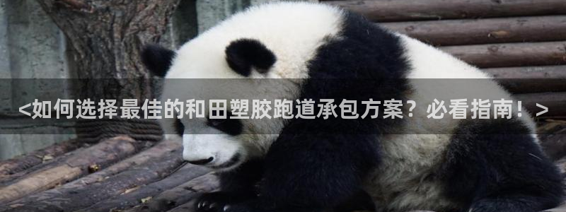 777814红·足一世比分：<如何选择最佳的和田塑胶跑道承包方案？必看指南！>