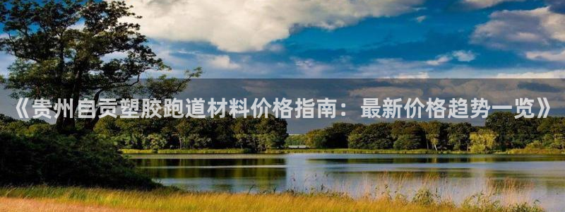 百度红足一1是为什么：《贵州自贡塑胶跑道材料价格指南：最新价格趋势一览》