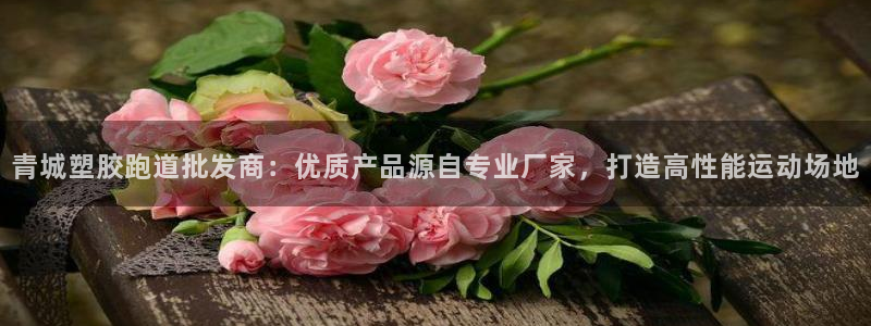红足一一世足球网开奖记录：青城塑胶跑道批发商：优质产品源自专业厂家，打造高性能运动场地