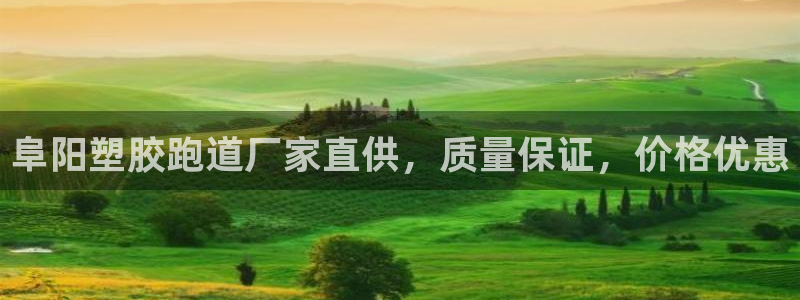 红足一1世开奖记录：阜阳塑胶跑道厂家直供，质量保证，价格优惠