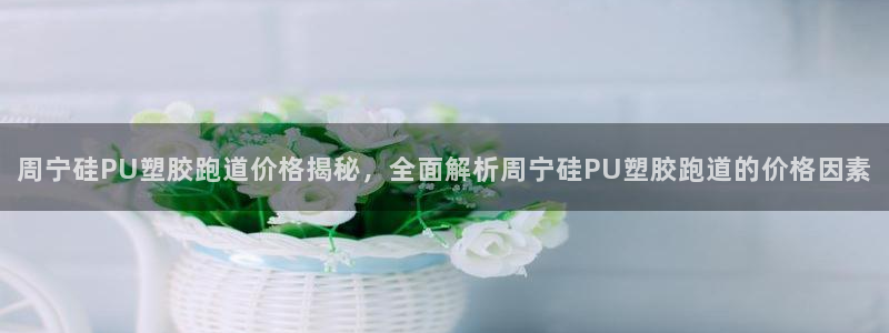 红足1世足球比分预测：周宁硅PU塑胶跑道价格揭秘，全面解析周宁硅PU塑胶跑道的价格因素