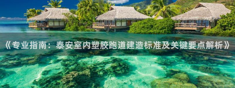 红足1世足球比分：《专业指南：泰安室内塑胶跑道建造标准及关键要点解析》