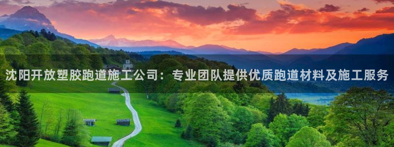 红足1世1站：沈阳开放塑胶跑道施工公司：专业团队提供优质跑道材料及施工服务