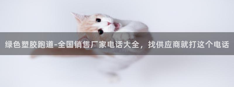 红足1一世红：绿色塑胶跑道-全国销售厂家电话大全，找供应商就打这个电话