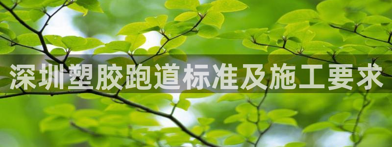 红足一1世66814新宝：深圳塑胶跑道标准及施工要求