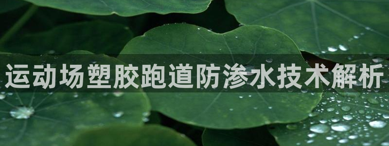 红足1世手机板：运动场塑胶跑道防渗水技术解析