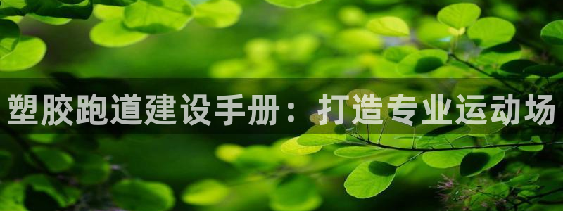 百度红足一1视频在线观看