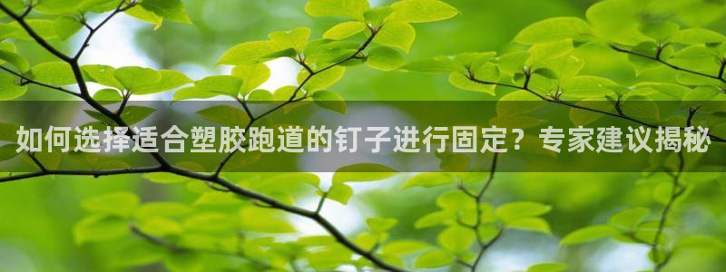 4633333开奖结果4176一点红：如何选择适合塑胶跑道的钉子进行固定？专家建议揭秘