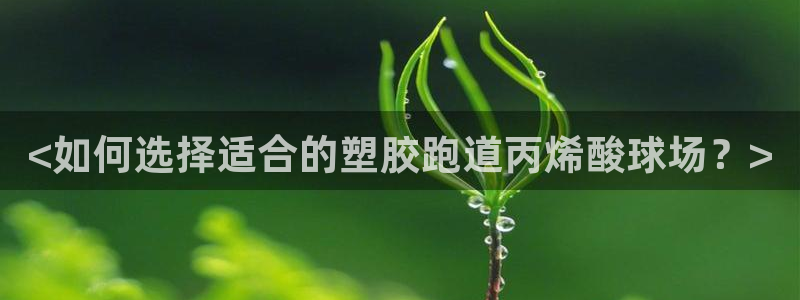 百度红足一1是什么样子的：<如何选择适合的塑胶跑道丙烯酸球场？>