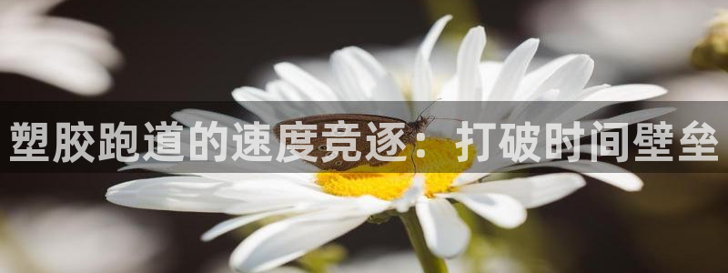 777814红·足一世比分：塑胶跑道的速度竞逐：打破时间壁垒