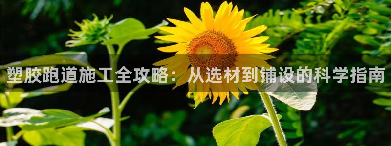 红足一球：塑胶跑道施工全攻略：从选材到铺设的科学指南