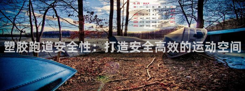 红姐现场直播开奖记录：塑胶跑道安全性：打造安全高效的运动空间