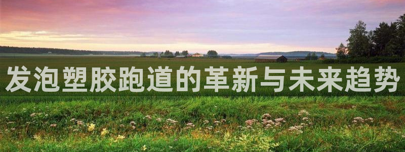 66814红足一66814世：发泡塑胶跑道的革新与未来趋势