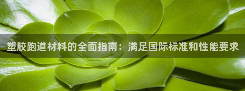 红足一：塑胶跑道材料的全面指南：满足国际标准和性能要求