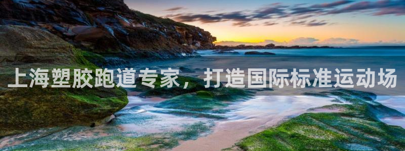 4633333开奖结果4176一点红：上海塑胶跑道专家，打造国际标准运动场