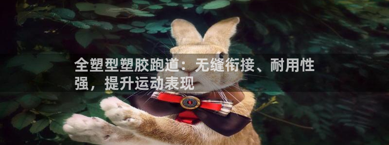红足一1世66814：全塑型塑胶跑道：无缝衔接、耐用性
强，提升运动表现
