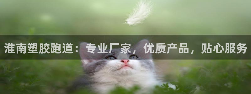 66814红足：淮南塑胶跑道：专业厂家，优质产品，贴心服务