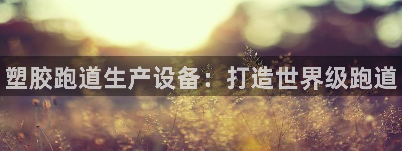 红姐现场直播开奖记录：塑胶跑道生产设备：打造世界级跑道