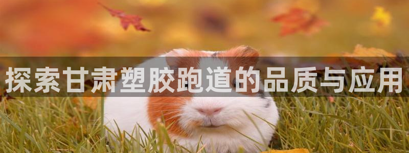 红足 世足球手机网：探索甘肃塑胶跑道的品质与应用