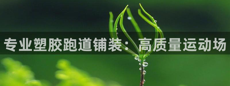 红足一1世比分球探：专业塑胶跑道铺装：高质量运动场