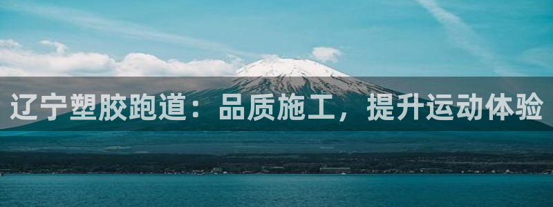 百度红足一1是为什么：辽宁塑胶跑道：品质施工，提升运动体验