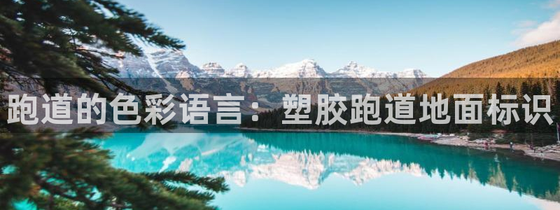 红足一一世：跑道的色彩语言：塑胶跑道地面标识