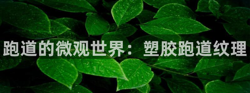 红足1世足球：跑道的微观世界：塑胶跑道纹理