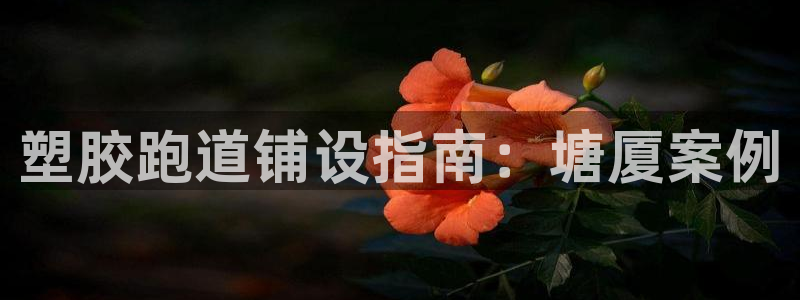 红足1世足球比分：塑胶跑道铺设指南：塘厦案例