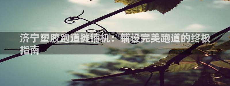 333814红·足一世比分：济宁塑胶跑道摊铺机：铺设完美跑道的终极
指南