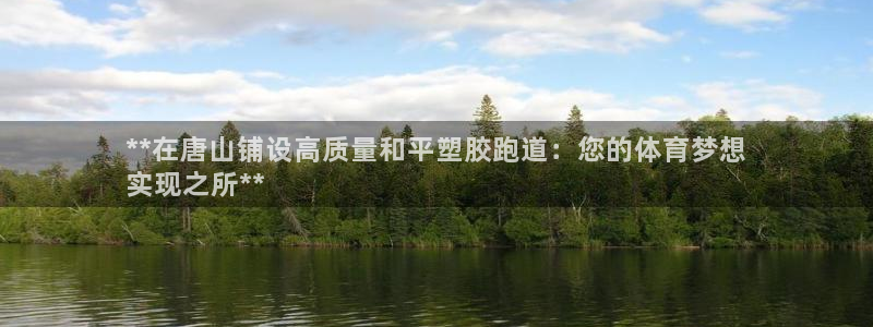 百度红足一1是为什么：**在唐山铺设高质量和平塑胶跑道：您的体育梦想
实现之所**