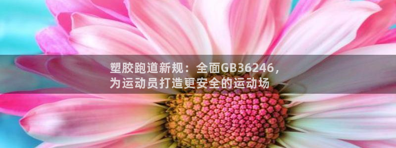 百度红足一1是什么样子的：塑胶跑道新规：全面GB36246，
为运动员打造更安全的运动场