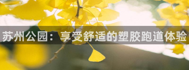 红足一丰：苏州公园：享受舒适的塑胶跑道体验